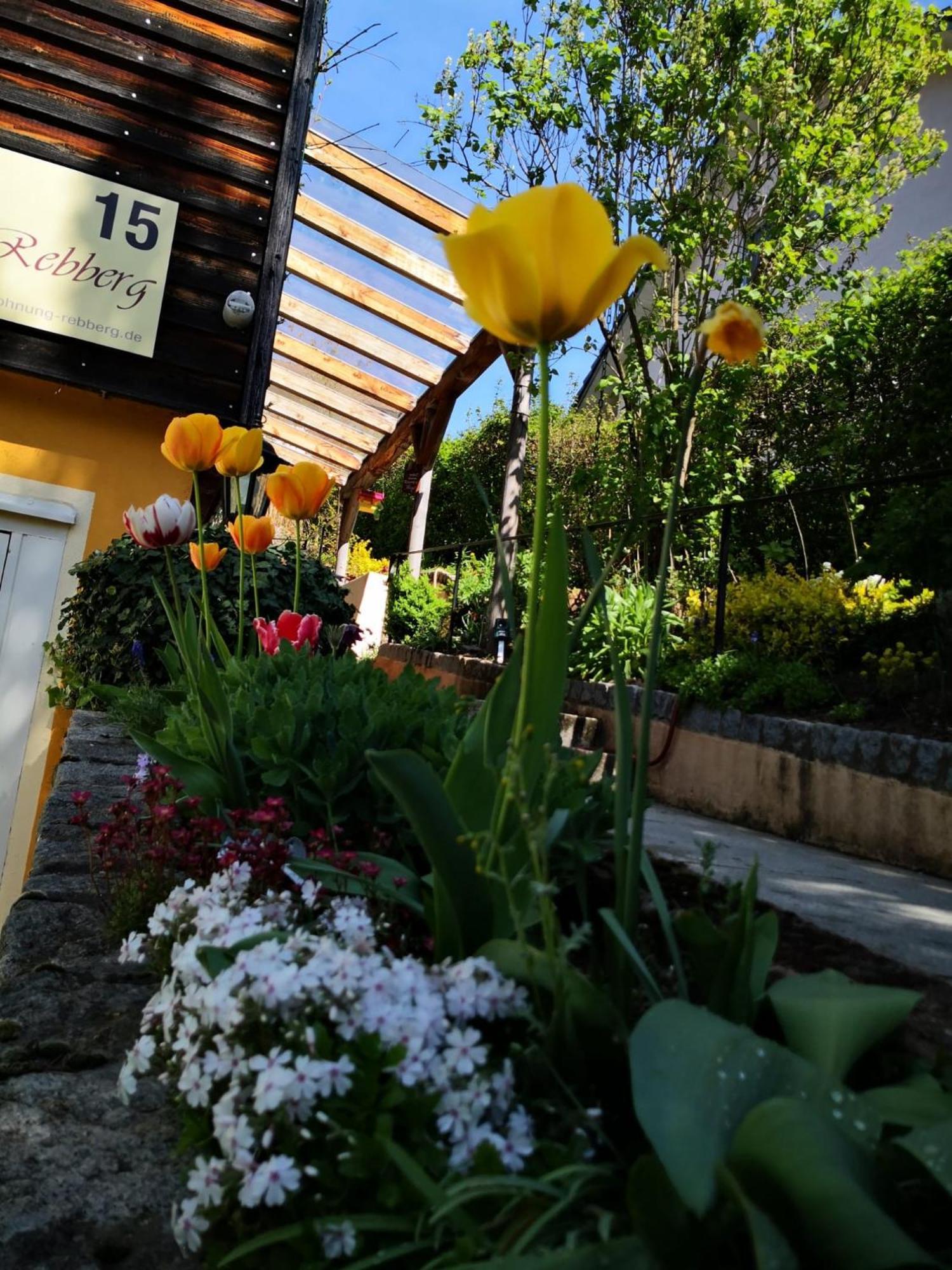 볼파흐 Haus Rebberg 아파트 외부 사진
